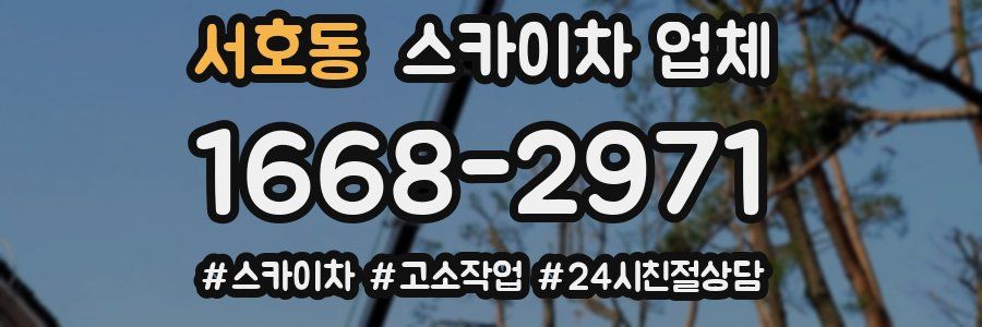 서호동 스카이차 업체