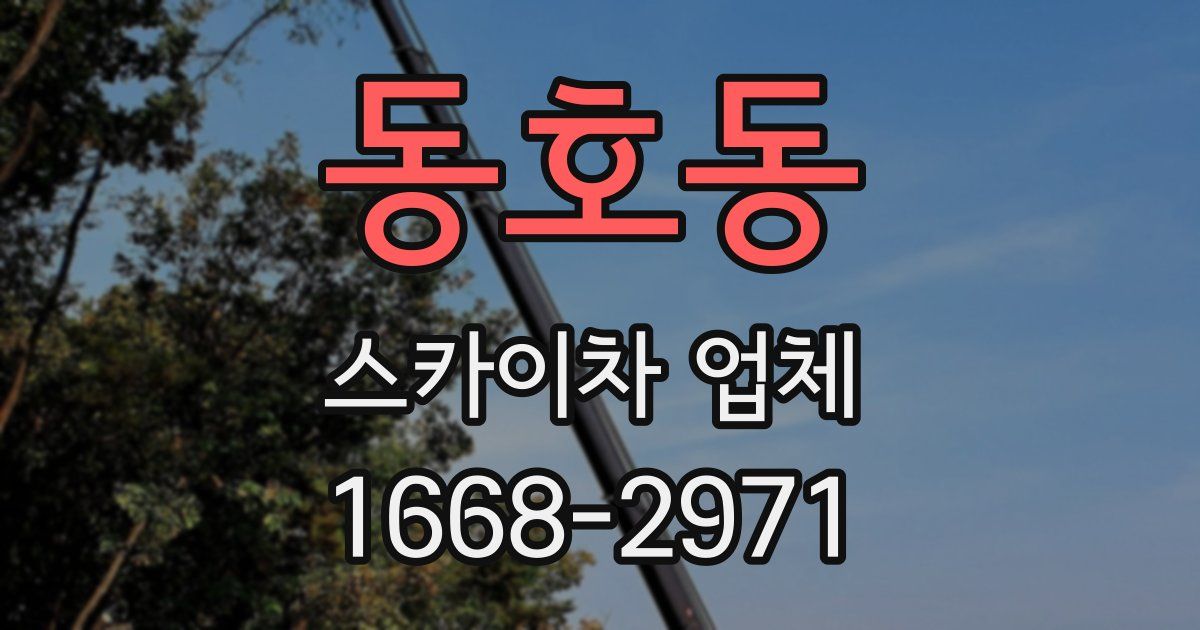 동호동 스카이차 업체