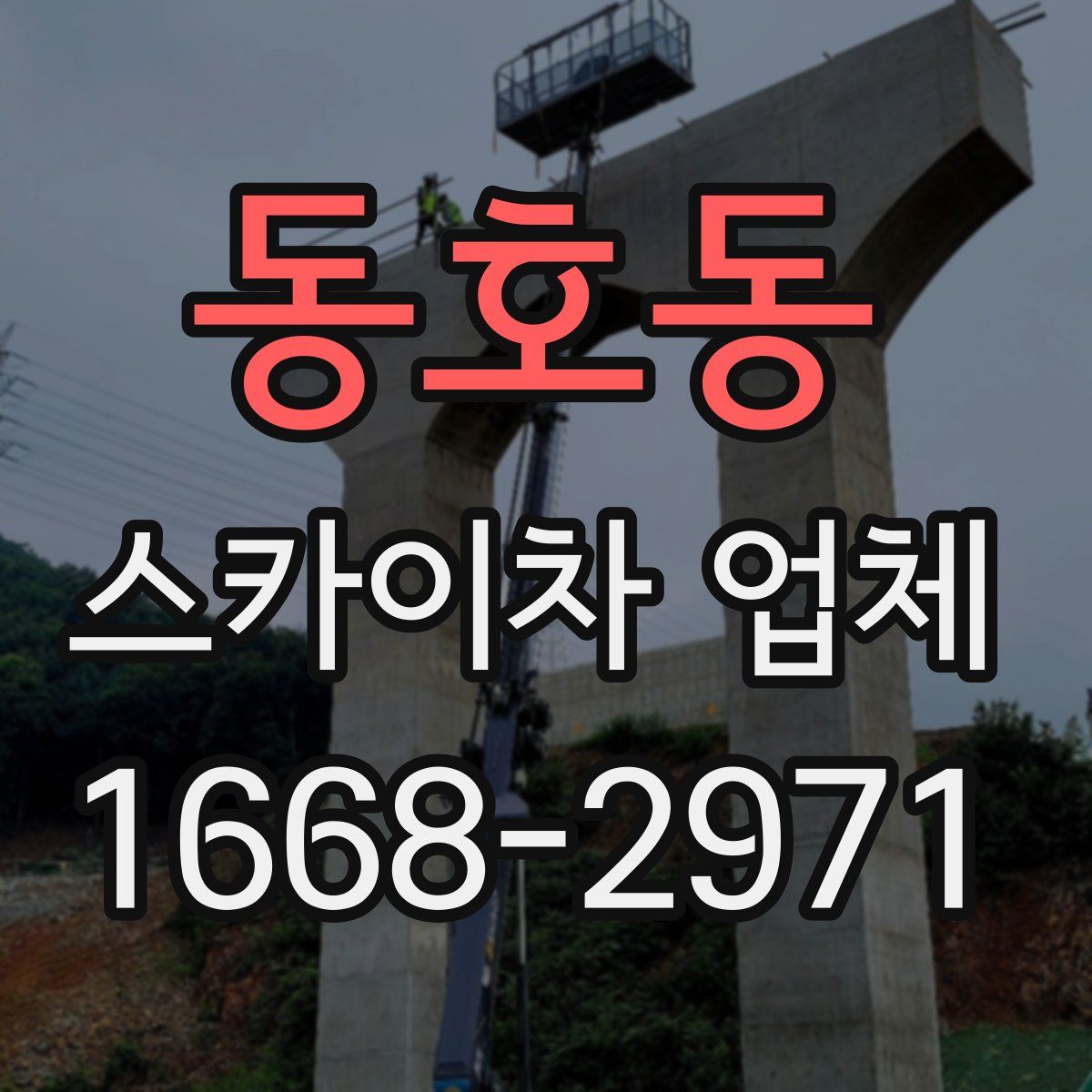 동호동 스카이차 업체
