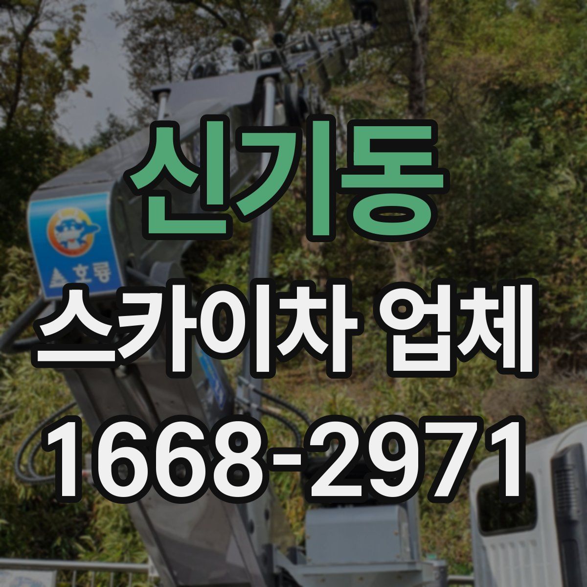 신기동 스카이차 업체