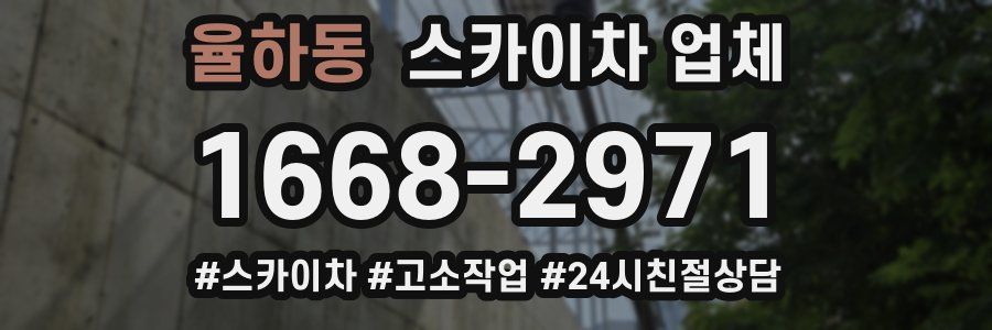 율하동 스카이차 업체