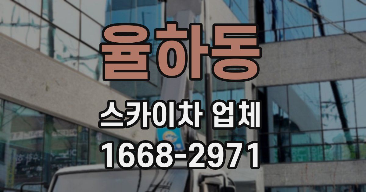 율하동 스카이차 업체