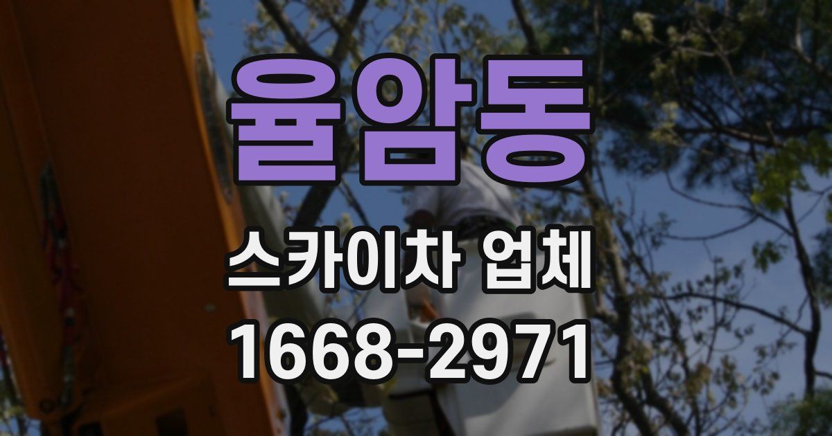 율암동 스카이차 업체