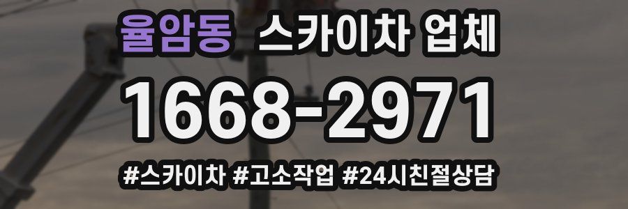 율암동 스카이차 업체