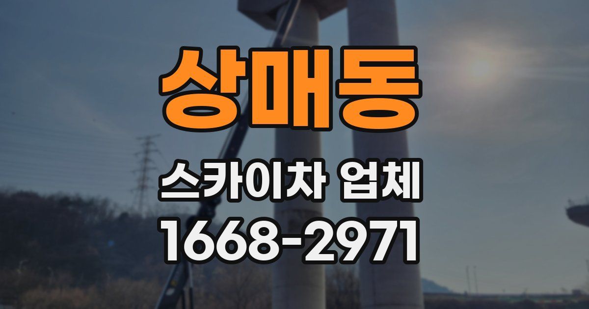 상매동 스카이차 업체