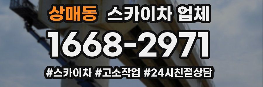 상매동 스카이차 업체