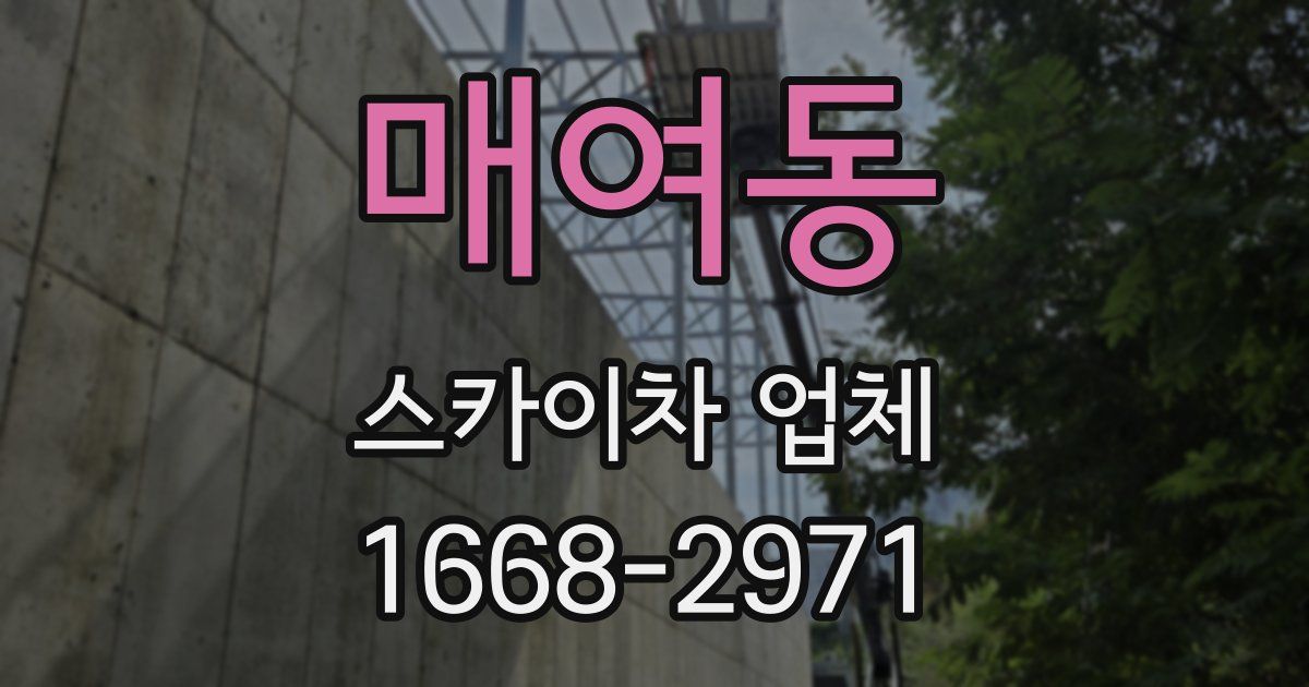 매여동 스카이차 업체