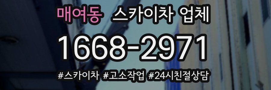 매여동 스카이차 업체