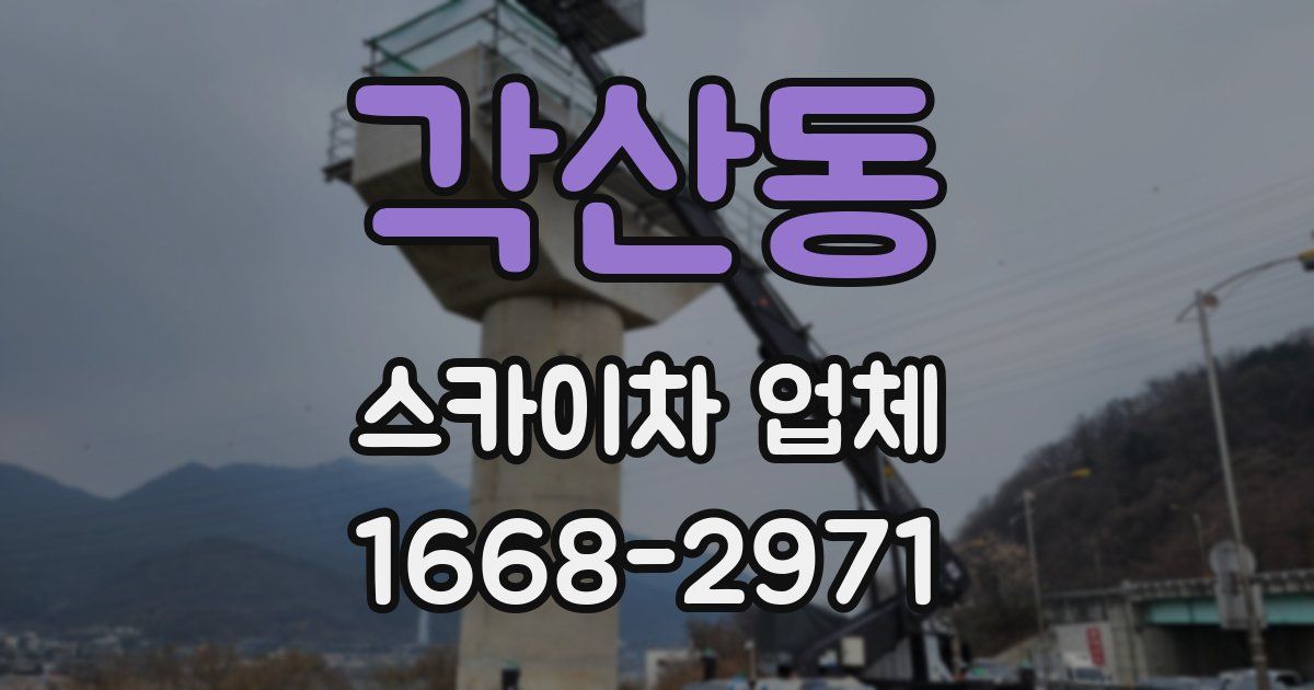 각산동 스카이차 업체