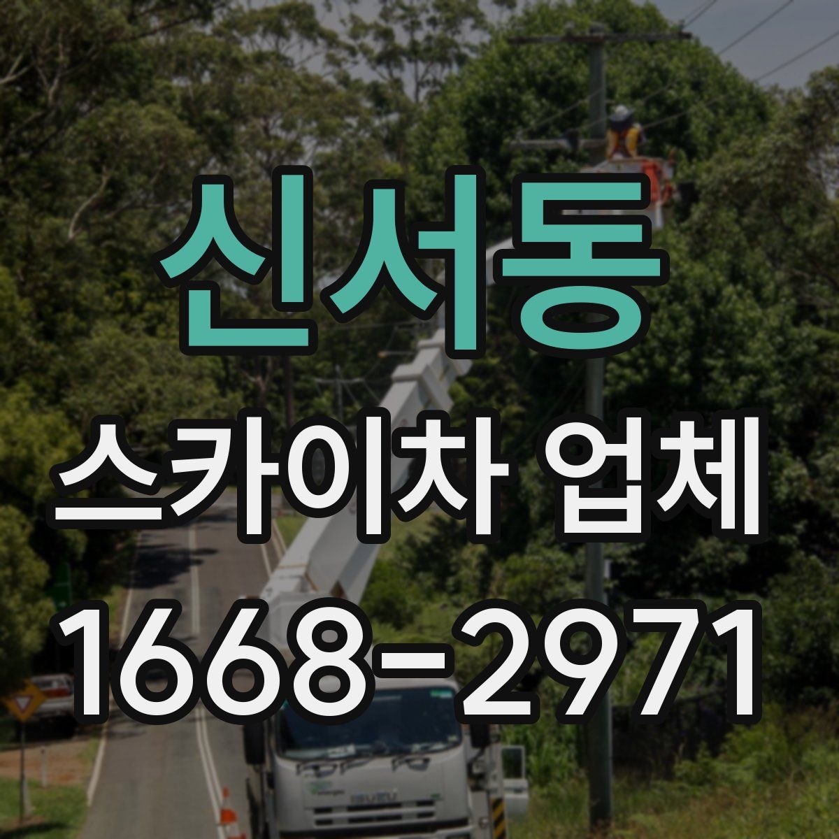신서동 스카이차 업체