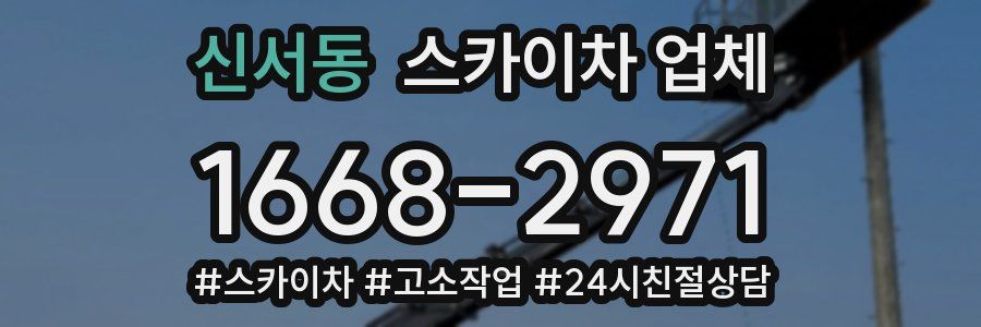 신서동 스카이차 업체
