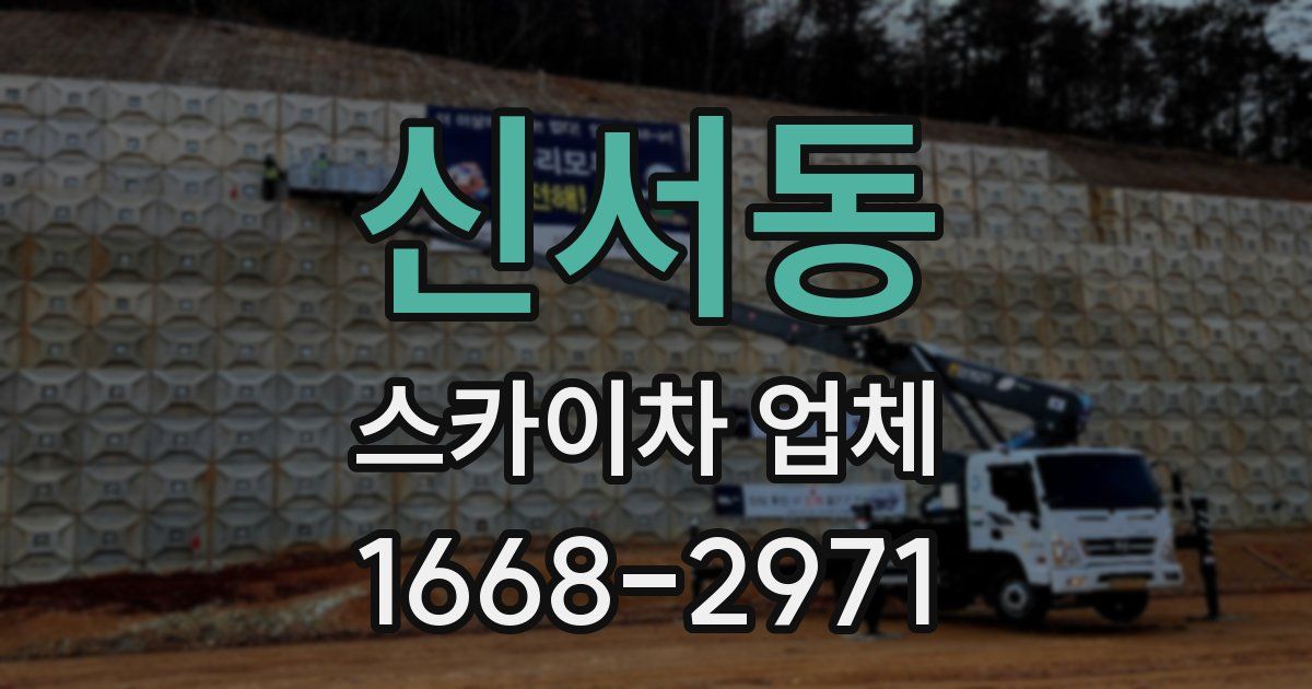 신서동 스카이차 업체