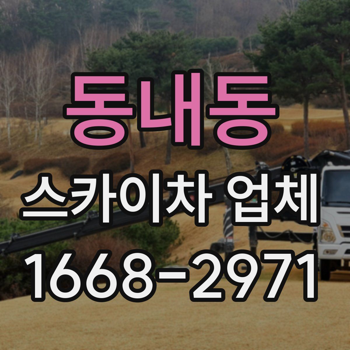 동내동 스카이차 업체