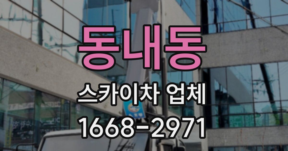 동내동 스카이차 업체