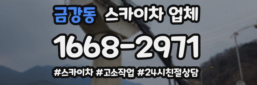 금강동 스카이차 업체