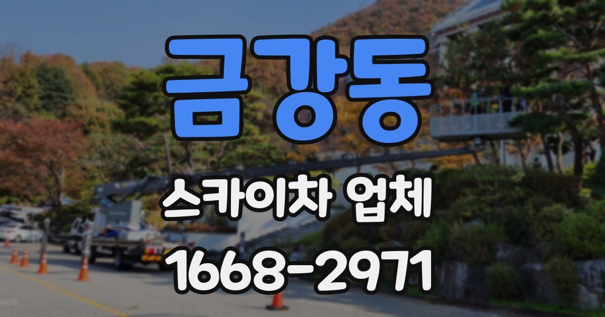 금강동 스카이차 업체