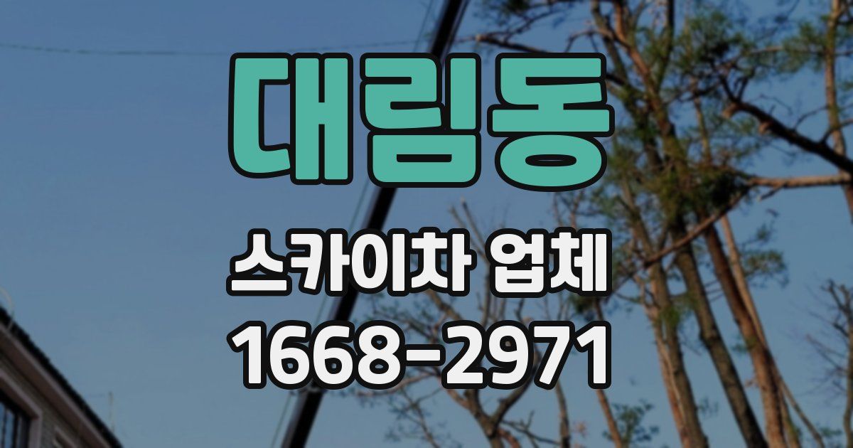 대림동 스카이차 업체