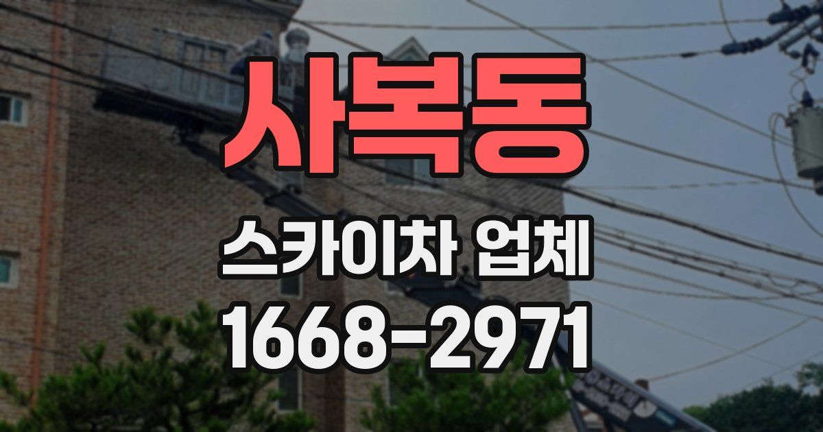 사복동 스카이차 업체