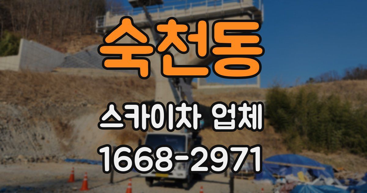 숙천동 스카이차 업체