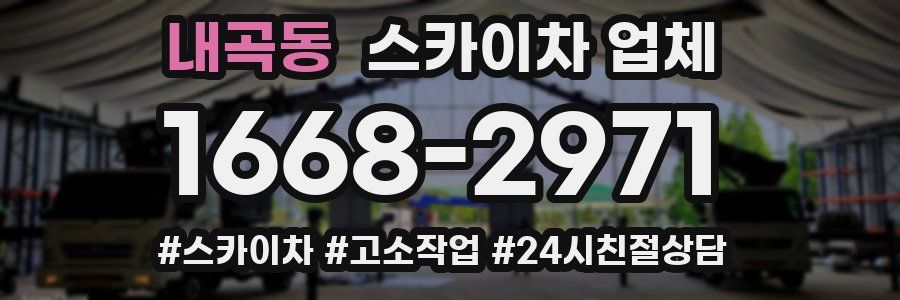 내곡동 스카이차 업체
