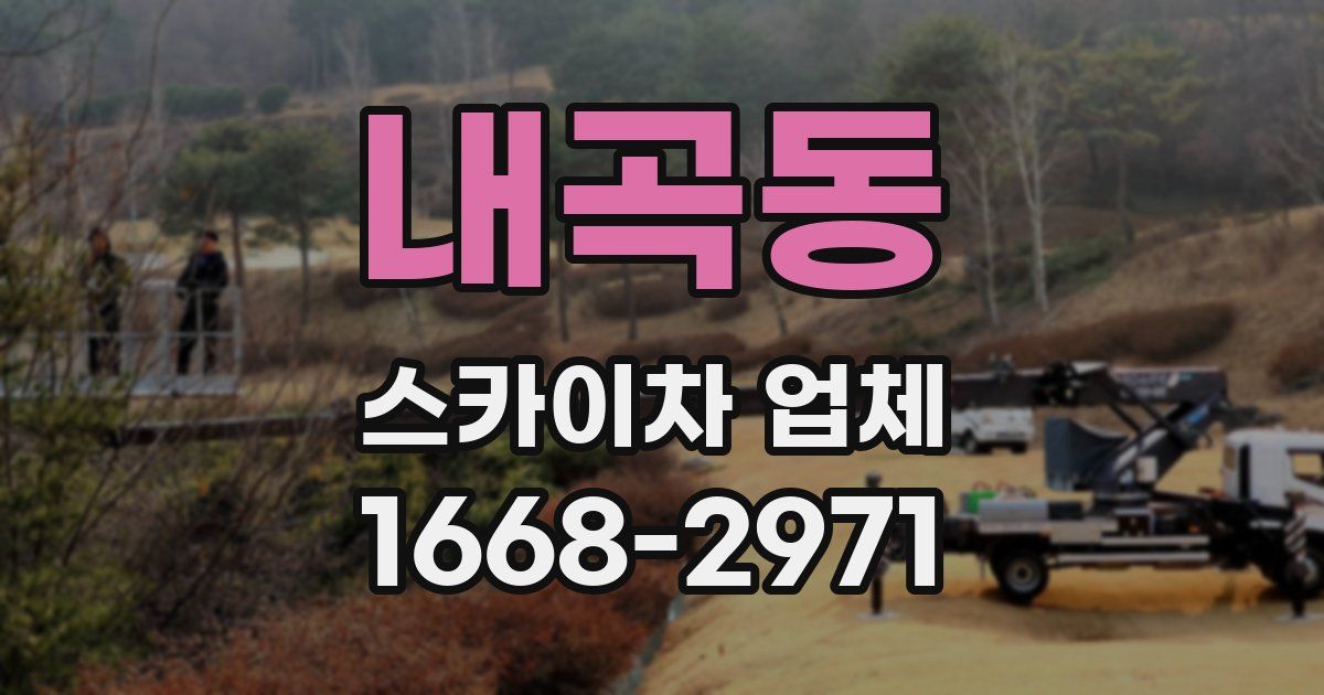 내곡동 스카이차 업체