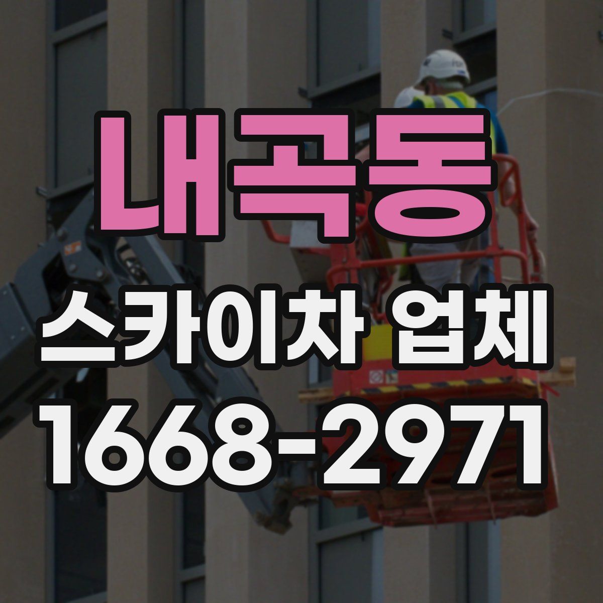 내곡동 스카이차 업체