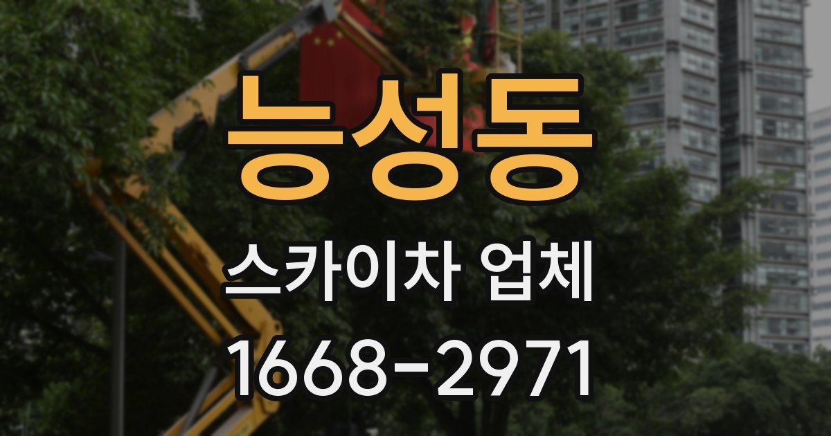능성동 스카이차 업체