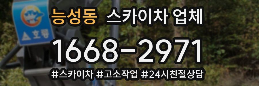 능성동 스카이차 업체