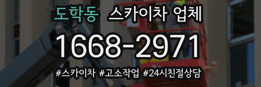 도학동 스카이차 업체