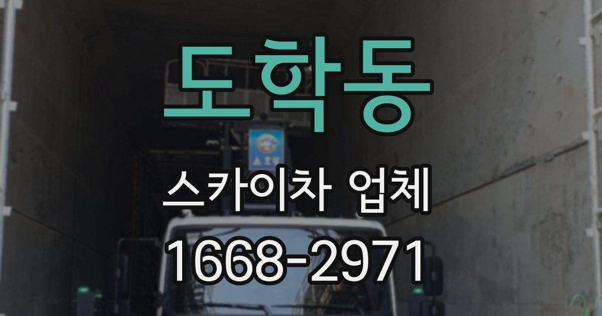 도학동 스카이차 업체