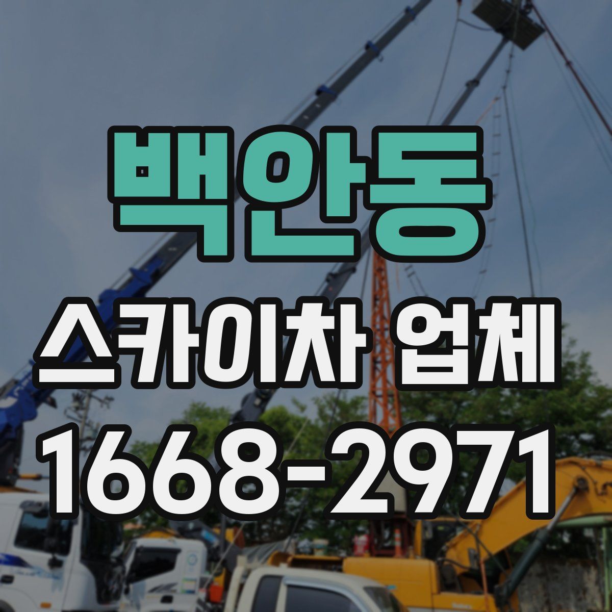 백안동 스카이차 업체