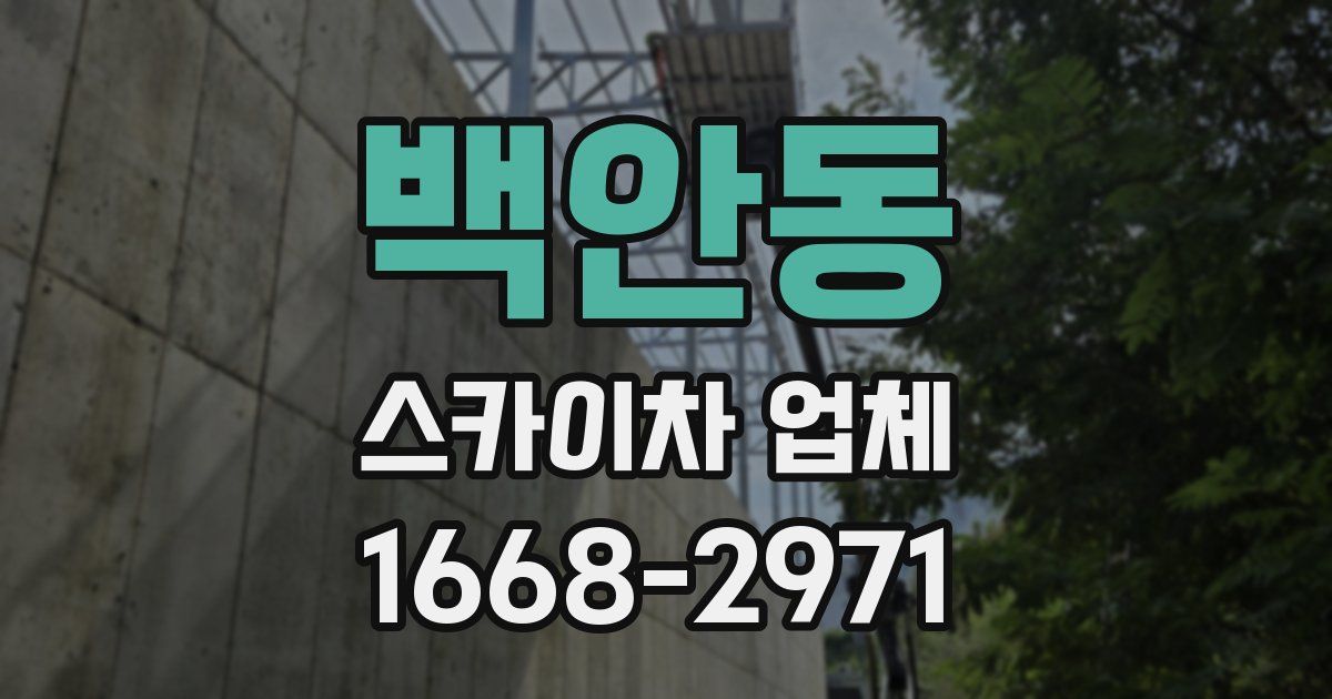 백안동 스카이차 업체