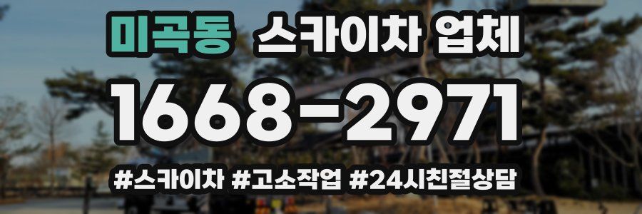 미곡동 스카이차 업체