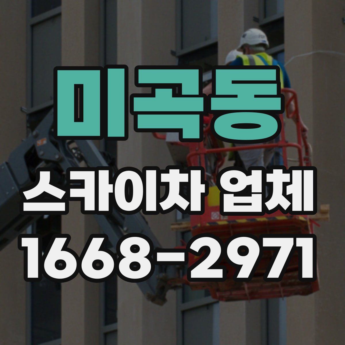 미곡동 스카이차 업체
