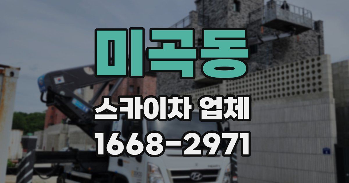 미곡동 스카이차 업체