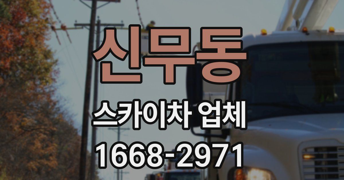 신무동 스카이차 업체