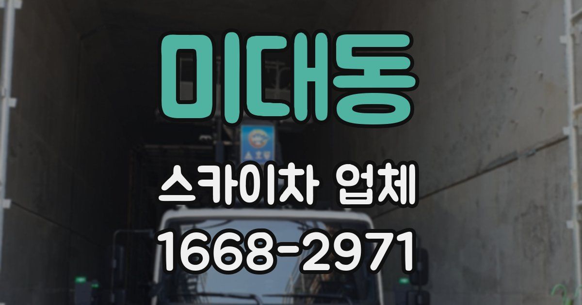 미대동 스카이차 업체