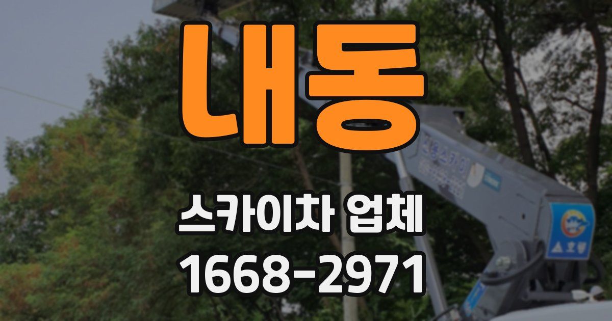 내동 스카이차 업체