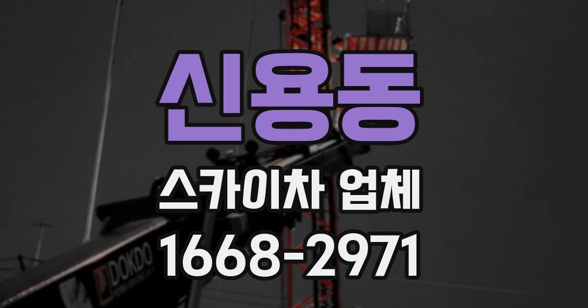 신용동 스카이차 업체