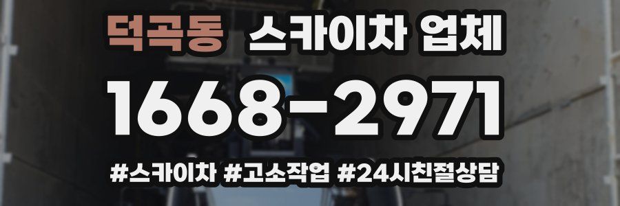 덕곡동 스카이차 업체