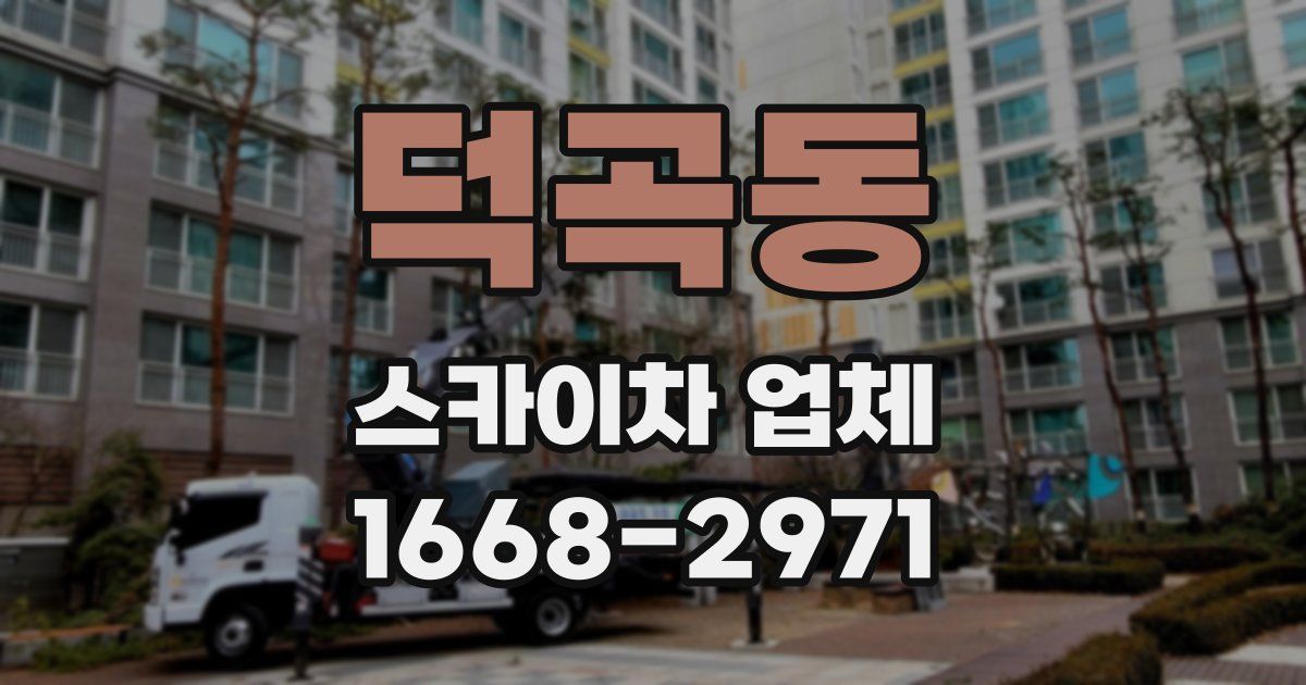 덕곡동 스카이차 업체