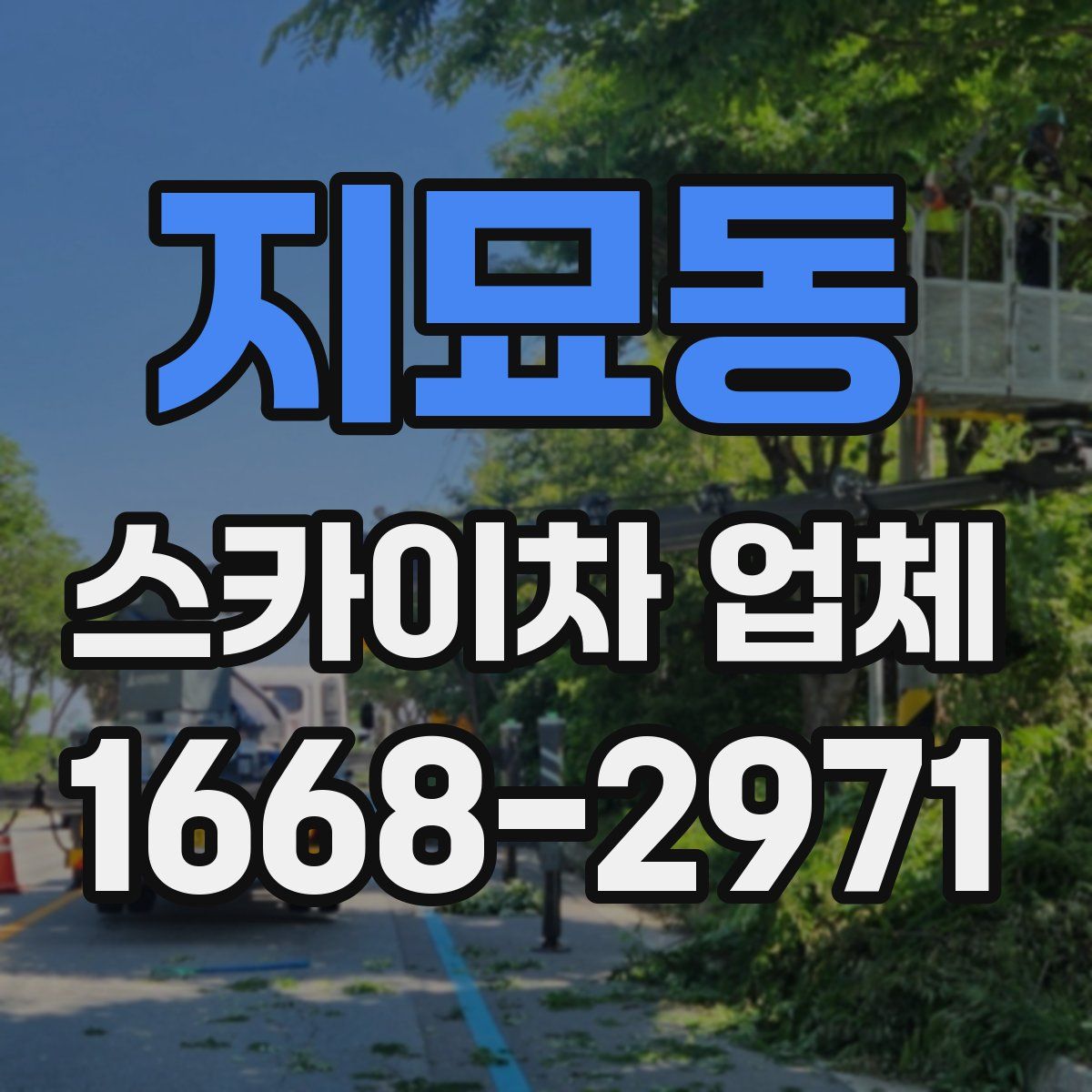 지묘동 스카이차 업체