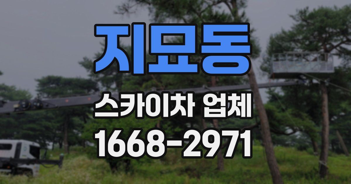 지묘동 스카이차 업체
