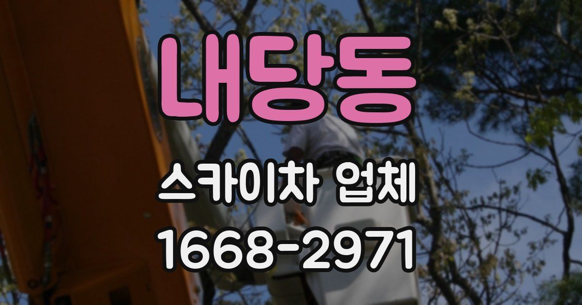 내당동 스카이차 업체