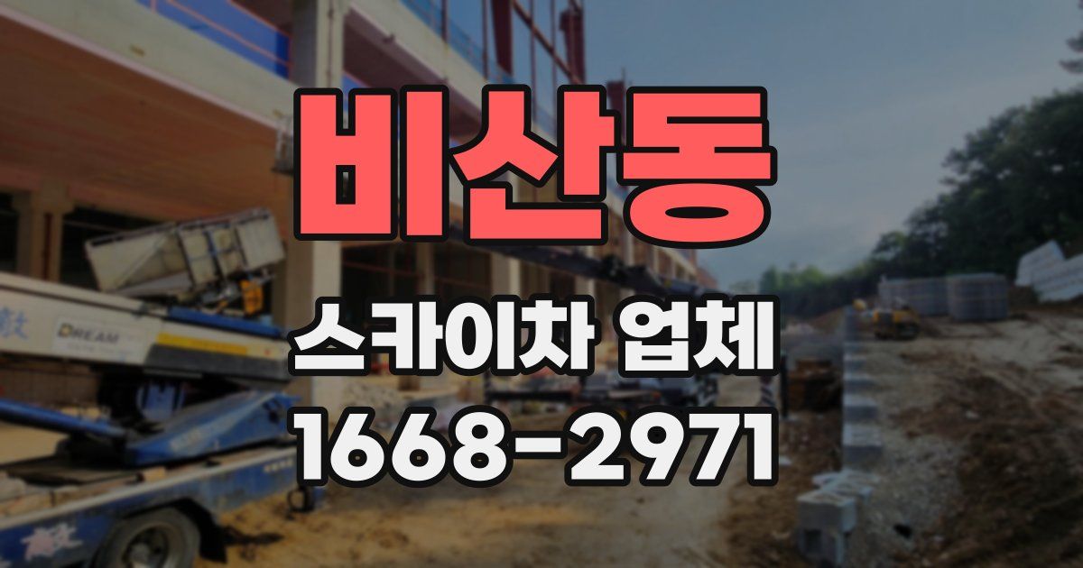 비산동 스카이차 업체
