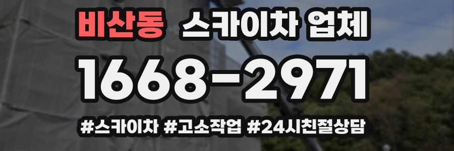 비산동 스카이차 업체