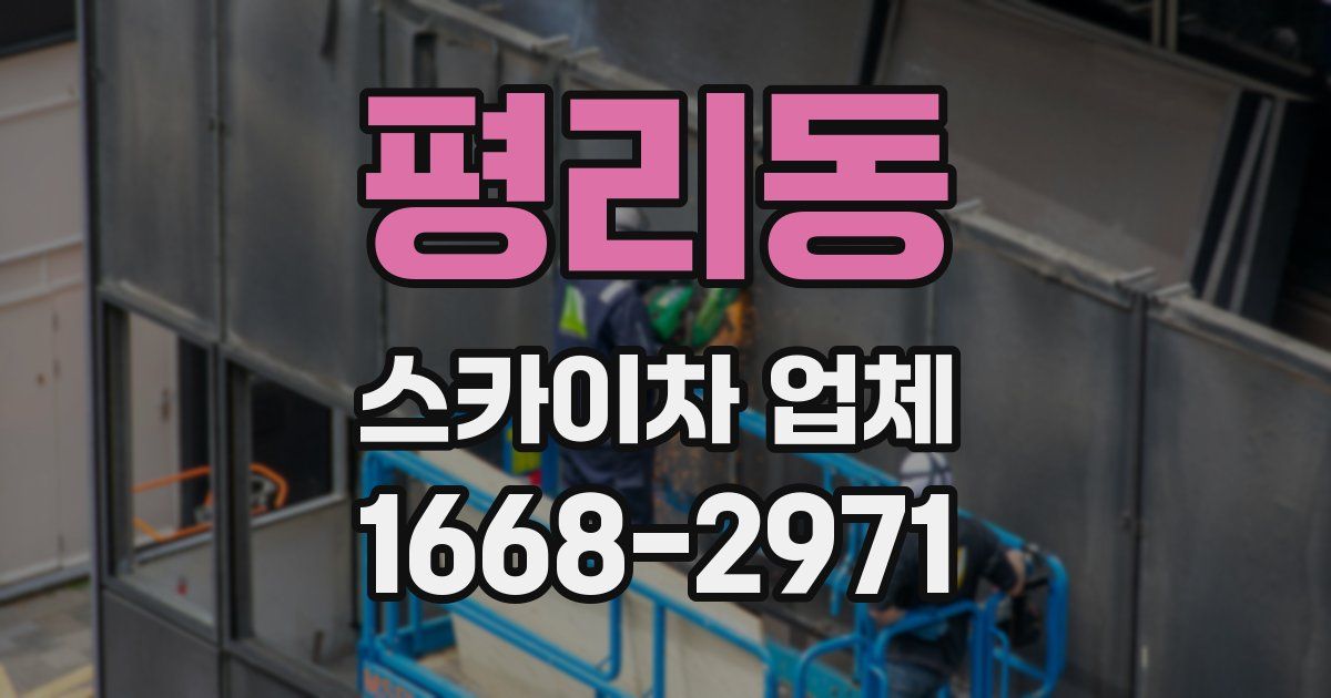 평리동 스카이차 업체