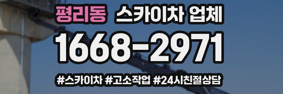 평리동 스카이차 업체