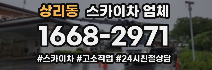 상리동 스카이차 업체
