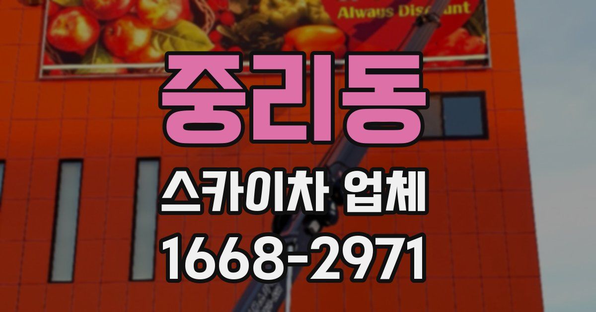 중리동 스카이차 업체